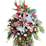 Ȫʻٵ